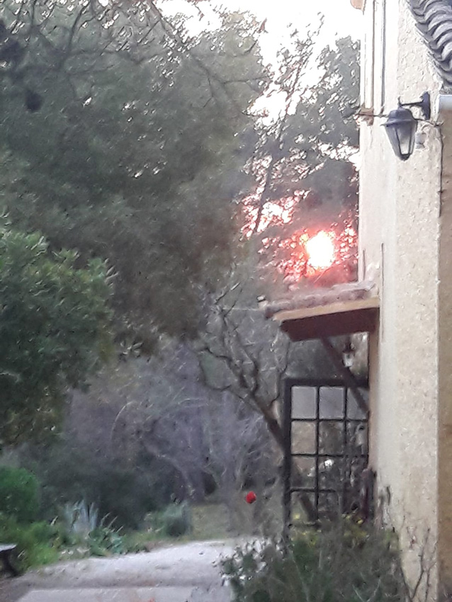 Calçotada 2019 (51)